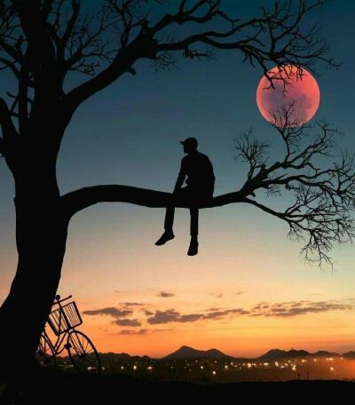 贴吧月亮头像好多人用