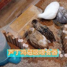 芦丁鸡食槽仓鼠鸡喂食饲养用品食盒盒食盆食槽自动兔子鹦鹉金丝熊