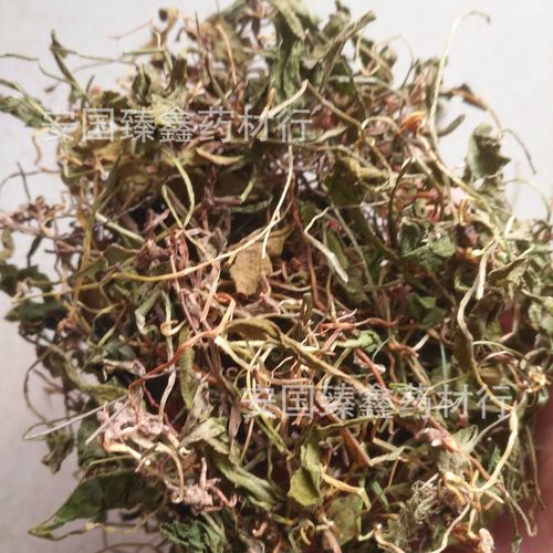 一支箭 青藤 蛇咬子 瓶尔小