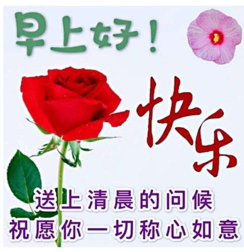 早上好表情包(19)