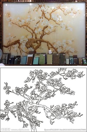 玉兰树图片