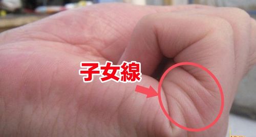  从手相看生男生女,很神奇的手相