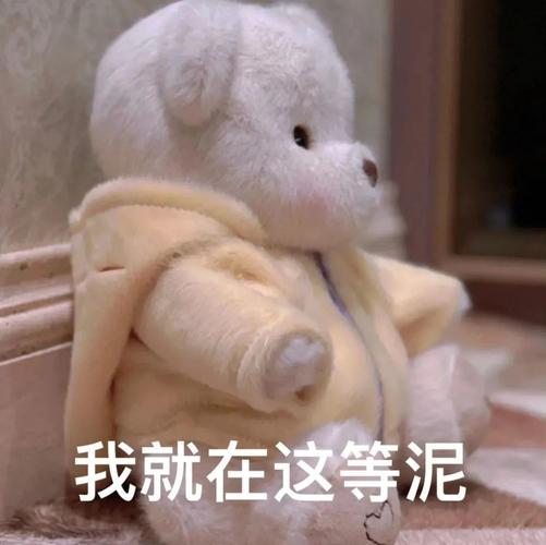 小熊表情包|委屈屈,要抱抱
