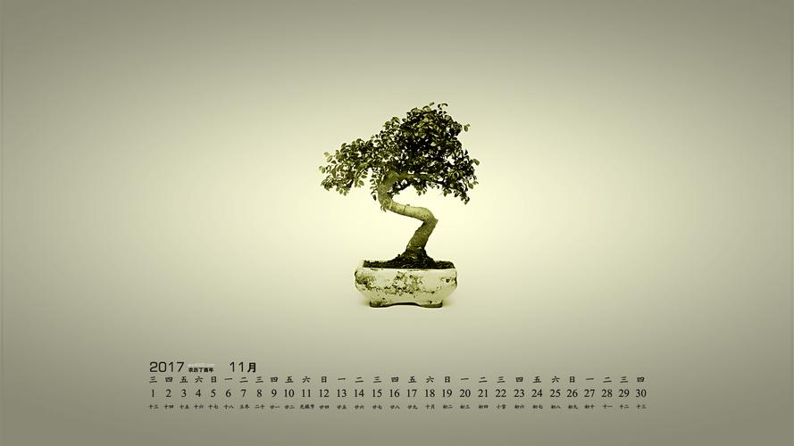 2017年11月清新植物盆景高清日历壁纸