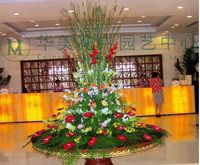 酒店大堂花 - 华美花卉园艺
