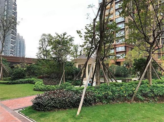 中洲碧桂园花溪源著