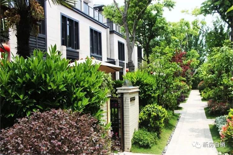 青浦大虹桥板块上海建工颐湾丽庭688万起大联排别墅