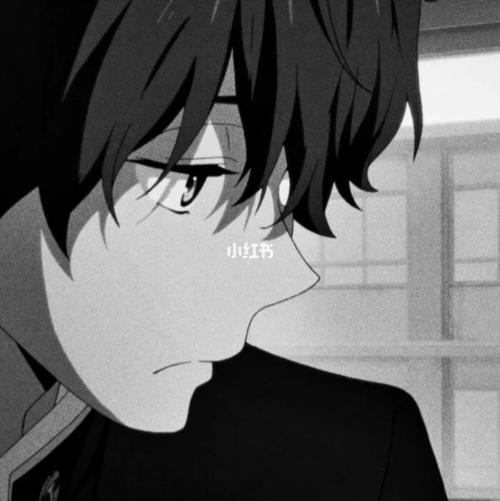 黑白男生头像动漫帅气野王头像高冷男头_动漫_王者荣耀_头像分享_影视