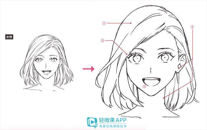 动漫人物人脸的特征有哪些动漫绘画教程