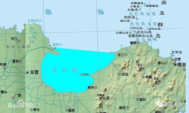 莱州湾,现大量变色海鱼!一条十多斤!