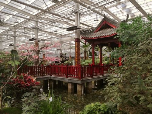 苍凉大漠的风花雪月,四季如春的精神家园----兰州亚太生态园 .