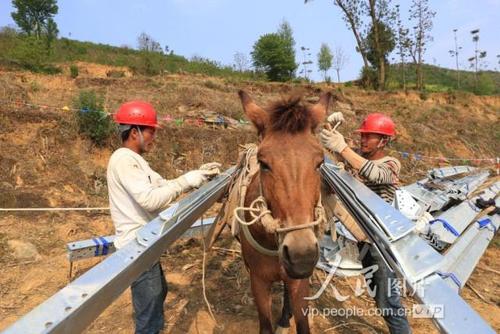 贵州大方:马匹运输助力电力建设