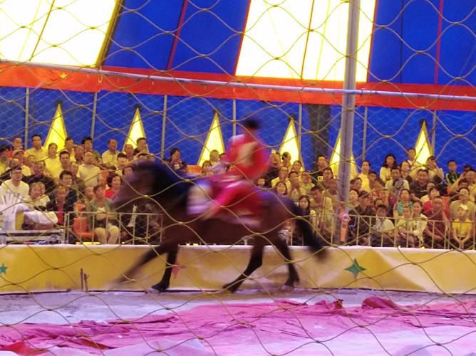 2018年端午节观吴桥马戏剪影