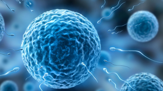 如何机智科学地回答"我从哪里来的"?的头图