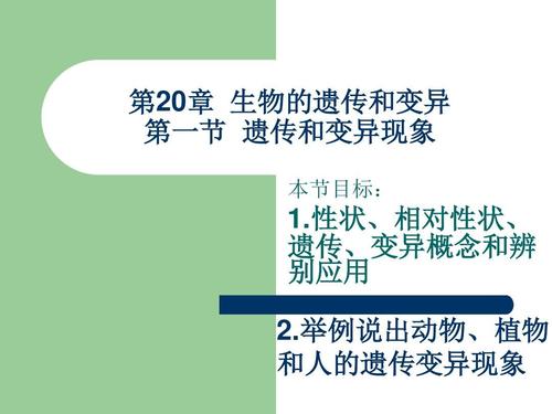 遗传和变异现象 课件ppt