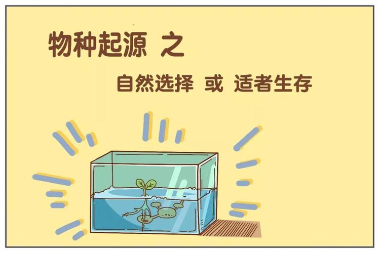 编吉读经典丨"适者生存"这个词居然并不是达尔文提出的!