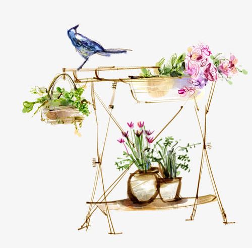卡通手绘花架花朵