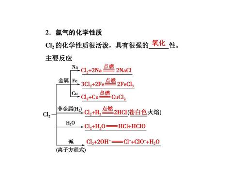 2.1 氯气的性质ppt