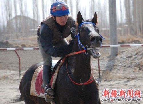 "赛马大会"即将鸣金开赛 各参赛队蓄势以待 - 新疆