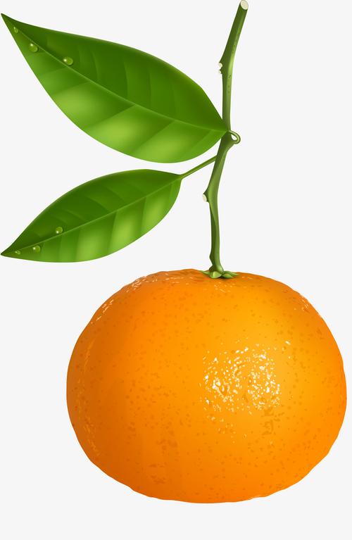卡通黄色橘子