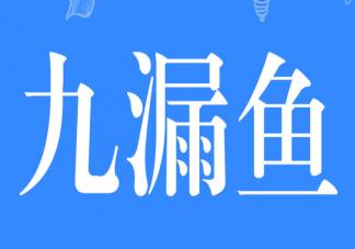 九漏鱼是什么意思