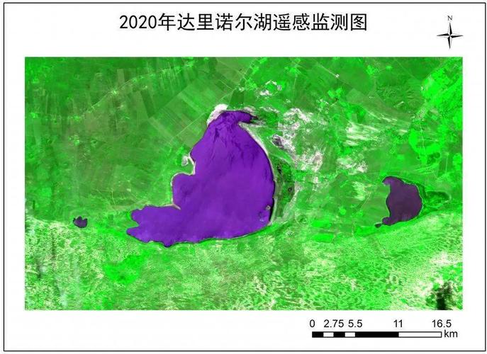 2020年达理诺尔湖遥感监测图