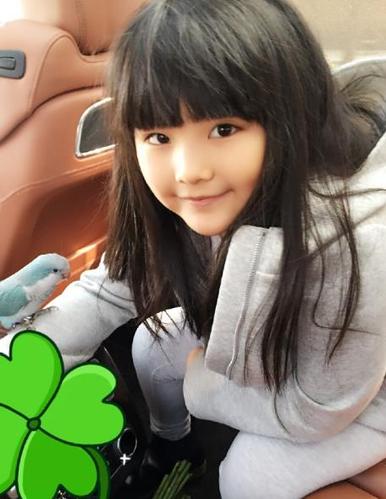 快讯    近日,有网友晒出王诗龄在妈妈带领下逛花鸟市场的照片,并配文