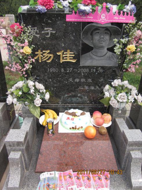 生日_杨佳