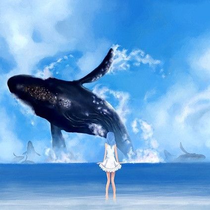 动漫鲸鱼头像; │头像│ 鲸鱼呀鲸鱼°; 求头像.