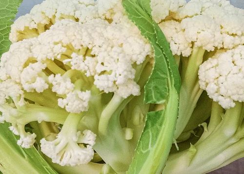 花菜和西兰花为何价格区别大让菜农告诉你究竟差在哪里