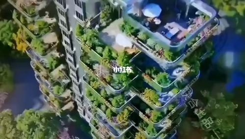 09家中有花园,花园中有家 长沙首个第五代空中花园式&nbsp;中式院子