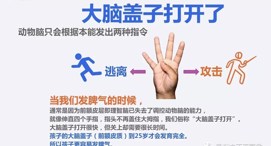 正面管教一生气就忍不住大吼大叫控制不住自己的情绪怎么办