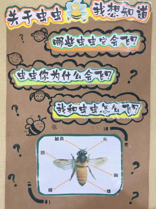 小班主题墙2-虫虫飞93_教育_教育_学前教育