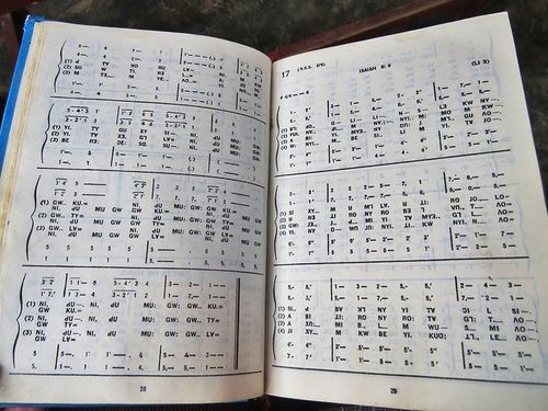 缅甸克伦族传教士巴拖和傈僳族信徒摩西的帮助下,发明了一套傈僳文字