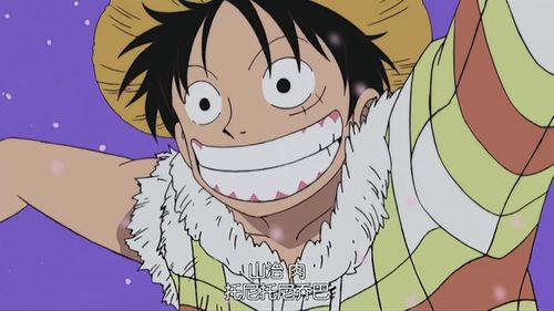 路飞娜美山治薇薇乔巴索隆