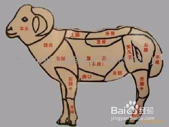 com 整羊分割图解 百度经验:jingyan.baidu.