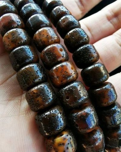 深度解析为什么有的星月菩提开片慢或者不开片