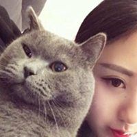 女生抱猫咪高冷头像