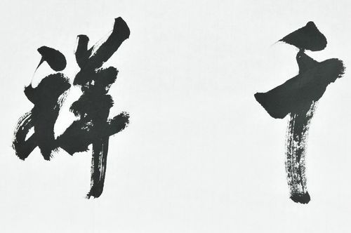 民间书法家 吴纲《千祥云集》