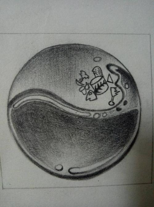 手绘保护海洋主题的图标(练习)|纯艺术|素描|z - 原创