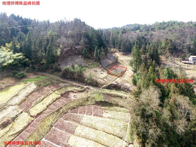 陈益峰:鸭头地,戴氏久住绝后,出武疯子 - 美篇