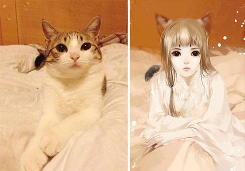 画师将萌宠拟人化,布偶猫不愧叫仙女猫,二哈变异色瞳小哥哥