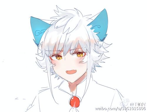 京剧猫白糖的头像图片原图来自微博
