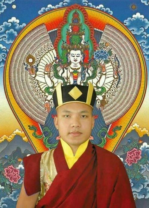 第十七世大宝法王噶玛巴邬金钦列多杰