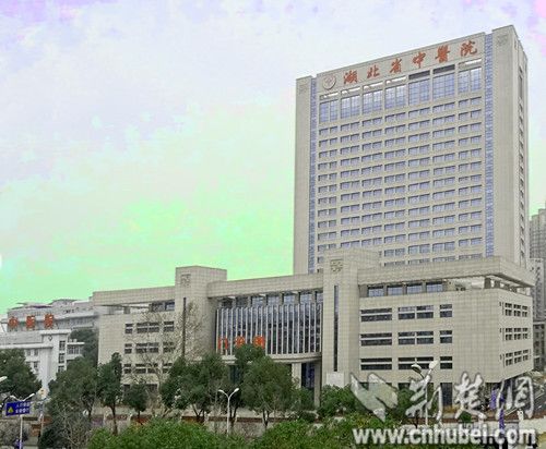 湖北省中医院基地综合大楼开门迎客 智能化服务造福患者 - 武汉热线