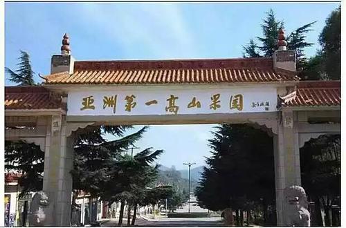 食材味觉:怎么辨别灵宝寺河山苹果?