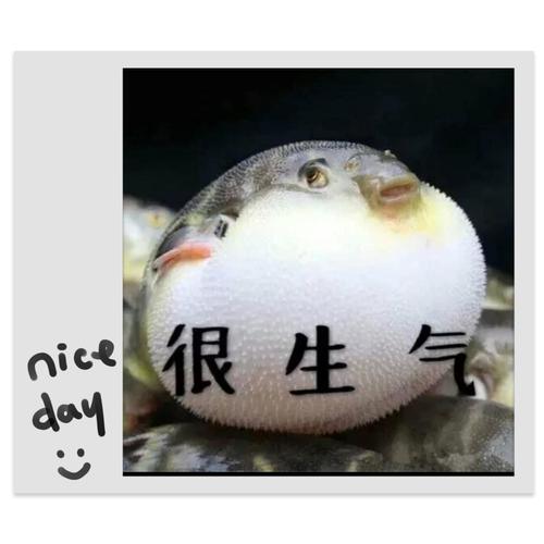 生气的小河豚——临河镇中心幼儿园大一班创意美术掠影