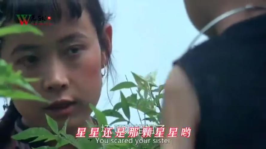 孙国庆经典《篱笆墙的影子》旋律优美,句句动人,满满的生活气息
