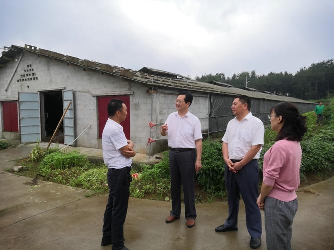 李加生到徐桥镇调研指导村级集体经济发展工作