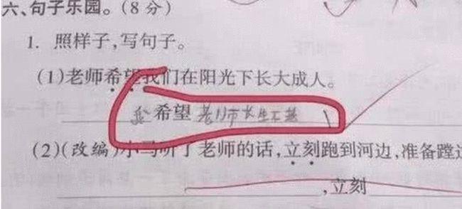 小学生"神造句"走红,老师看后笑出鹅叫,网友:德云社需要你